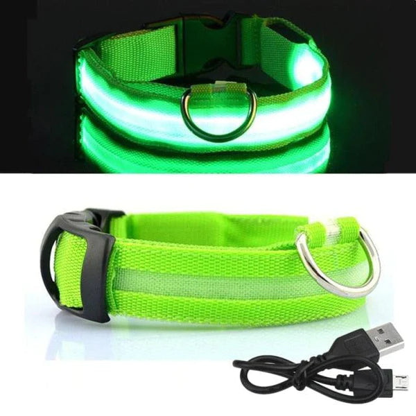 Coleira LED para Pets