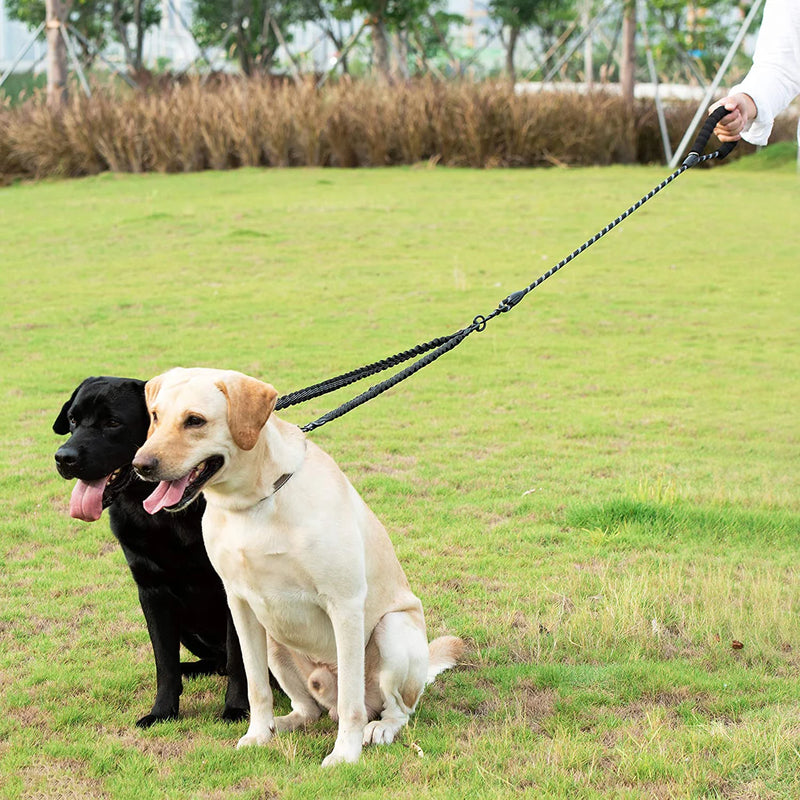 Guia com Dupla Alça para cães