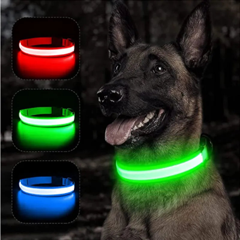 Coleira LED para Pets