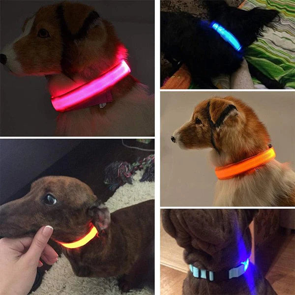 Coleira LED para Pets